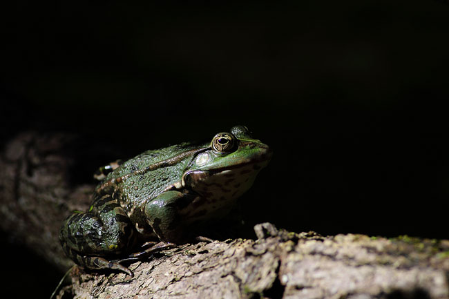 IMG_9858.jpg, sept. 2011 IMG_9858.jpg