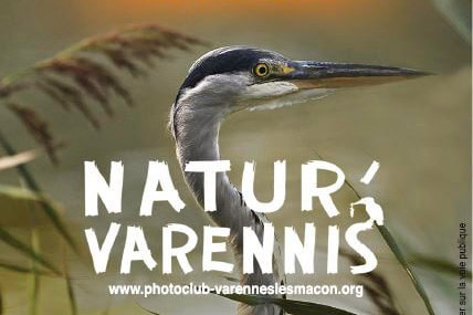 Lire la suite à propos de l’article Festival Natur’Varennis