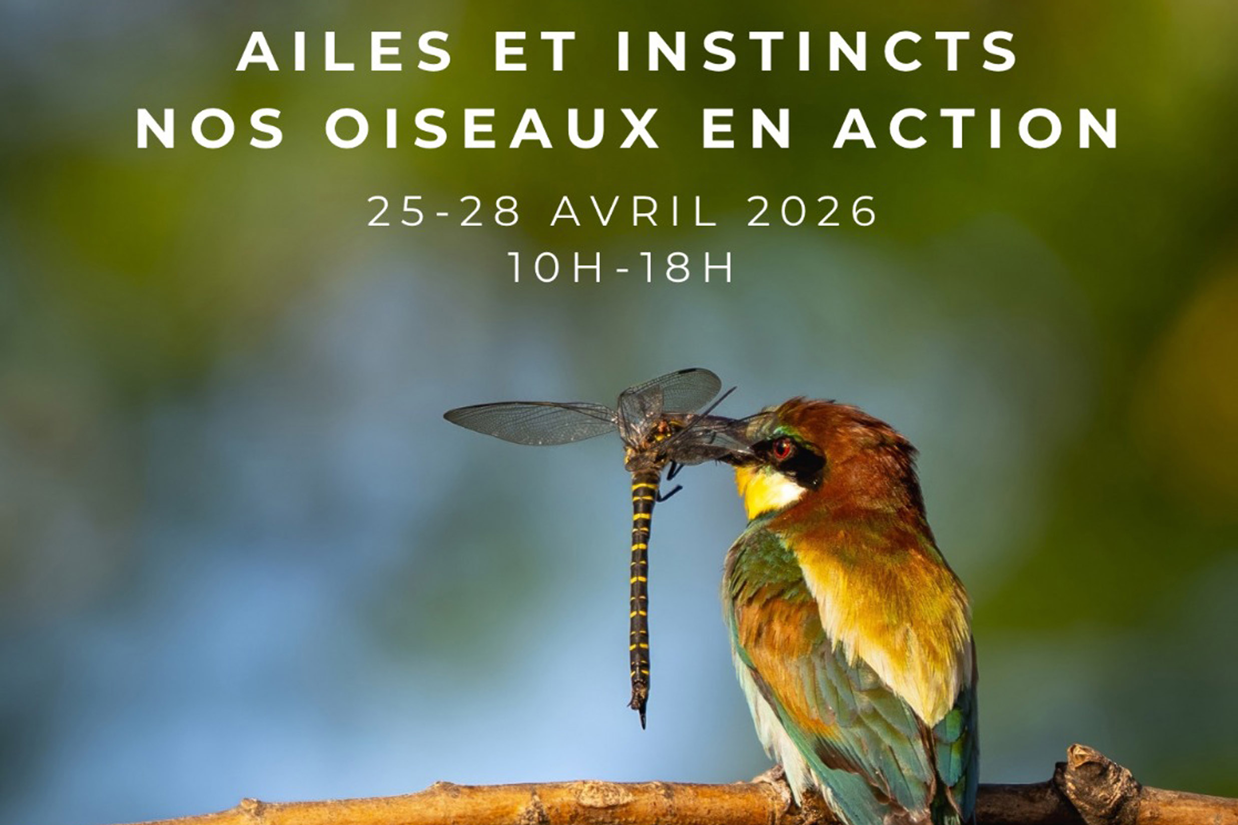 Lire la suite à propos de l’article Exposition commune à Challex